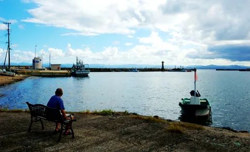 原报告|远洋资本的海外投资观察