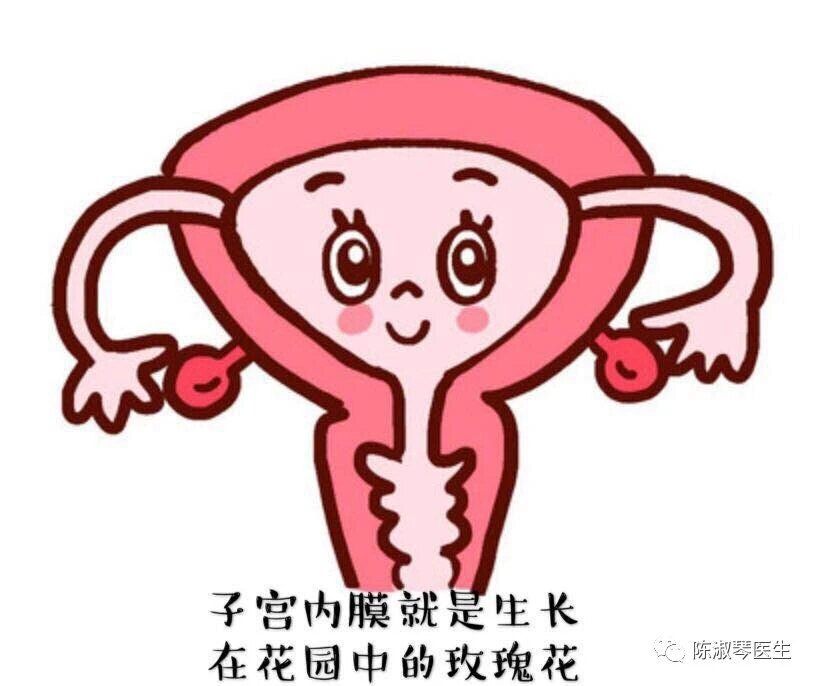 月经产生的主要机理是,月经是什么原理