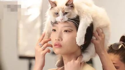 前有老凤祥、周大生围堵，后有对赌协议压身，曼卡龙上市路长且阻