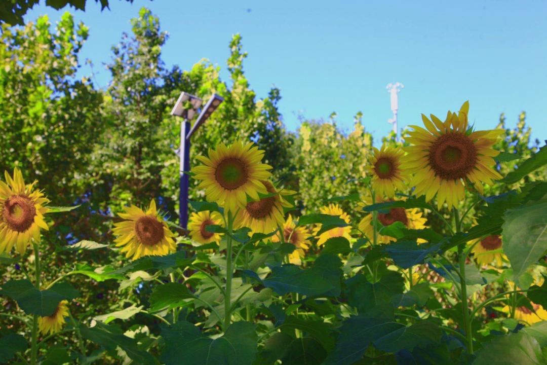 推荐一个假期亲子出游的好地方,北京亦庄周末去哪儿玩