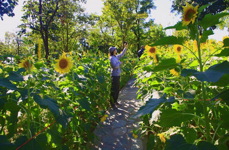 推荐一个假期亲子出游的好地方,北京亦庄周末去哪儿玩