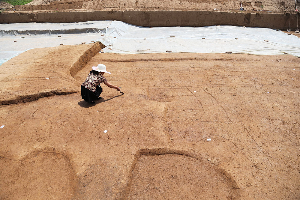 考古专业视频大全,考古专业图片
