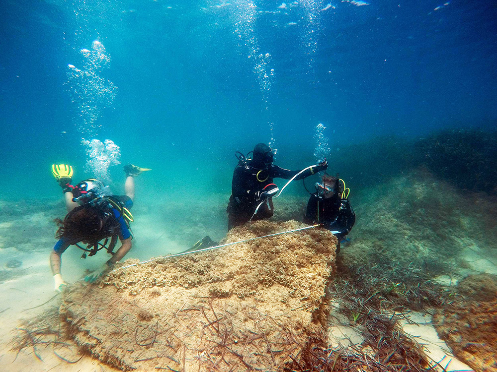 考古专业视频大全,考古专业图片