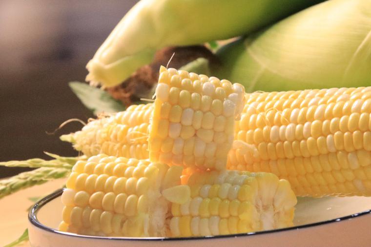 回访代言人共享丰收乐丨泗叶青沙玉米甜入更多人的心头