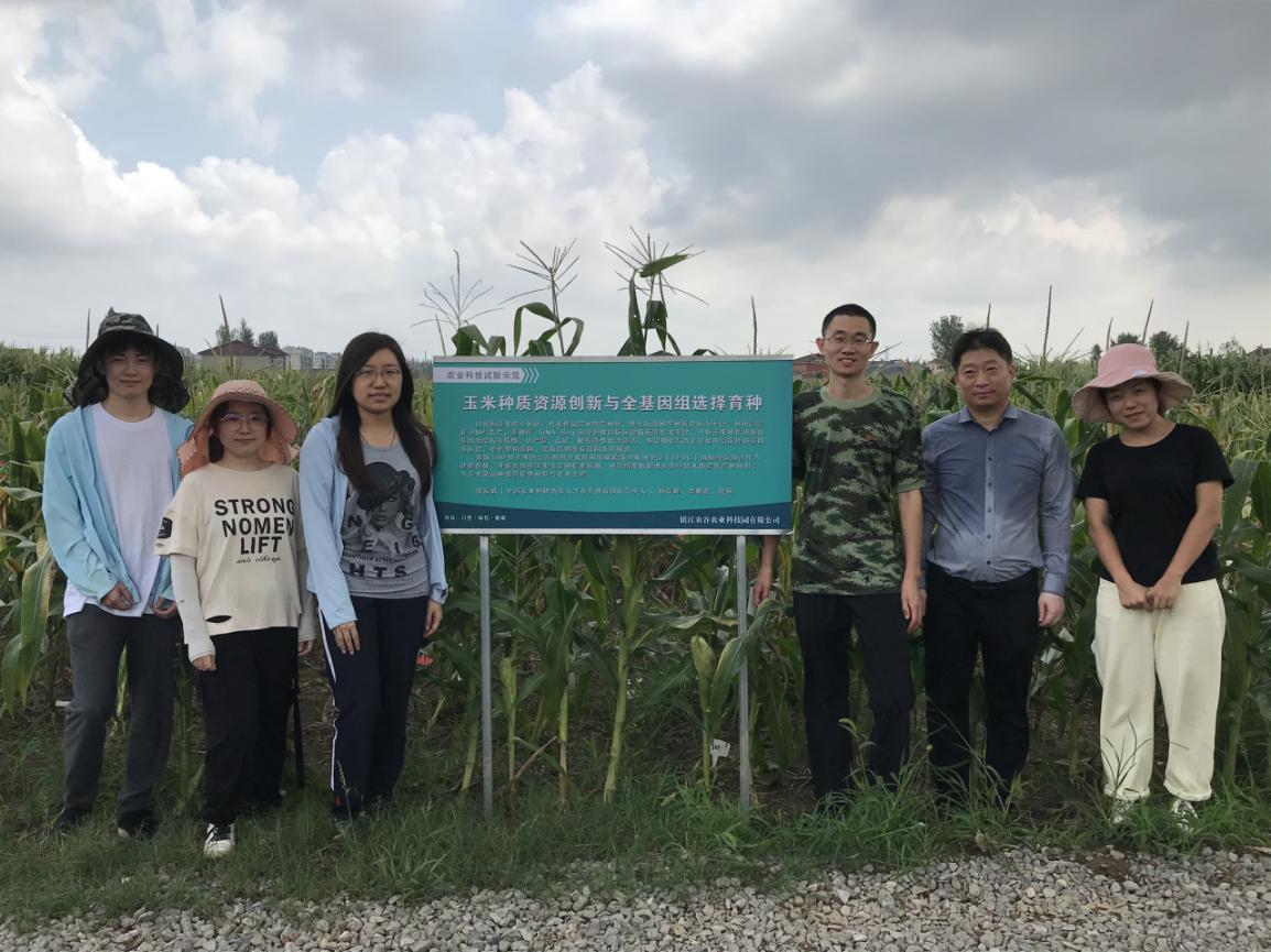 回访代言人共享丰收乐丨泗叶青沙玉米甜入更多人的心头