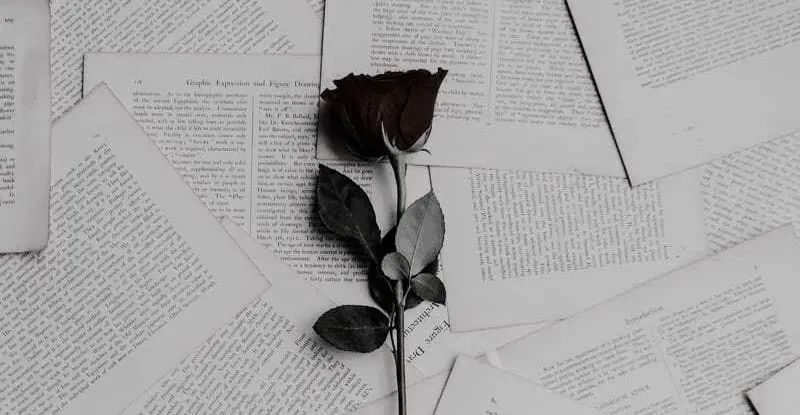 看完你还敢兼职吗,想当法官有多难