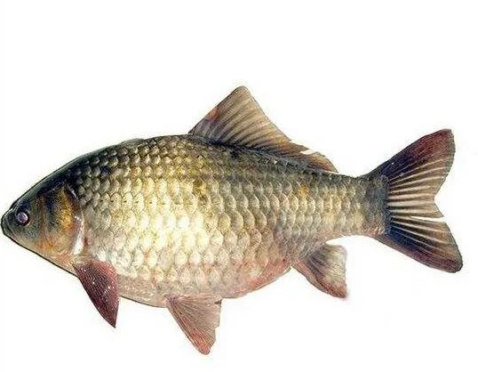 最新一批不合格食品曝光,5大问题食品名单