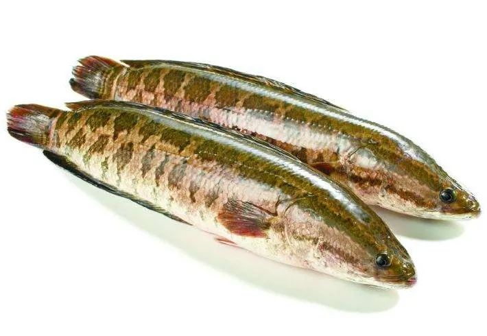 最新一批不合格食品曝光,5大问题食品名单