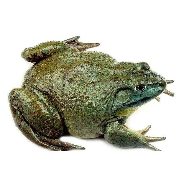 最新一批不合格食品曝光,5大问题食品名单