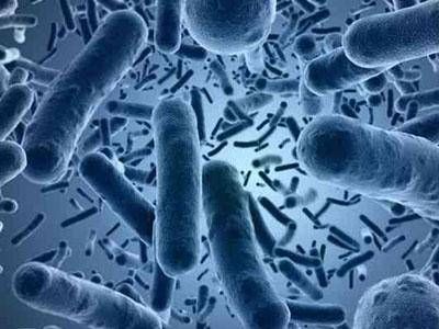 抗生素引起的腹泻用什么药,腹泻用什么抗生素最有效