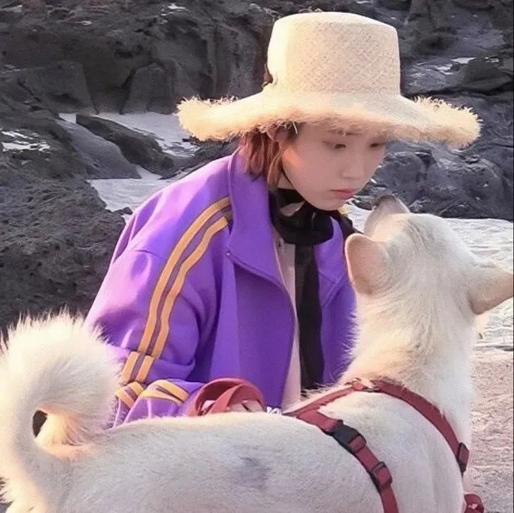 无帽卫衣虞书欣,虞书欣的衣服到底有多少钱