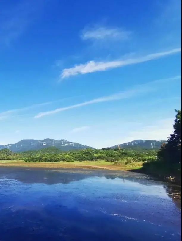 拿下“国字号”金名片！够美够天然，萧山“氧吧”获新称号