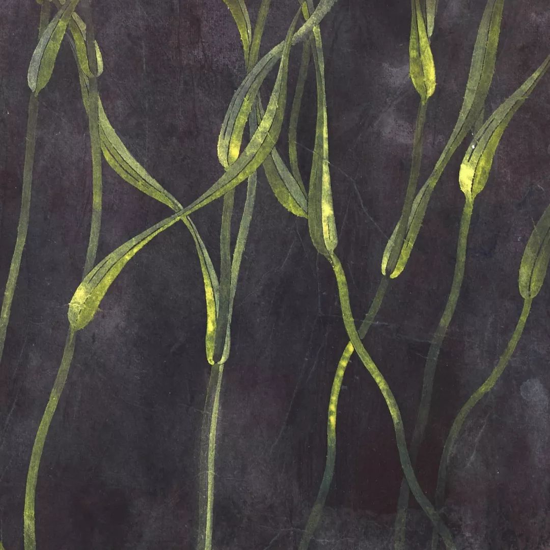 朱光潜认为什么是诗,朱光潜说美是什么