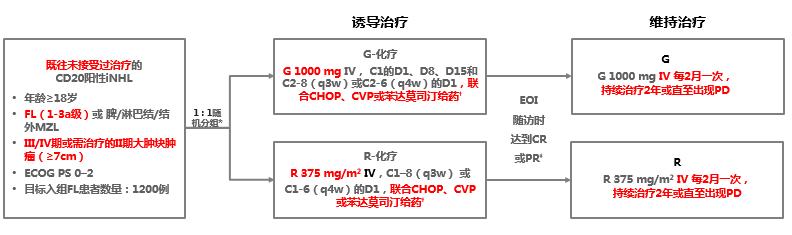 洪小南教授,复旦大学附属肿瘤医院洪小南教授
