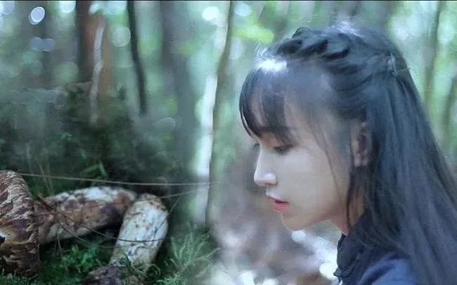 李子柒中秋月饼,李子柒嫦娥月饼