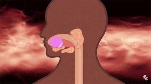 一不小心把口香糖吞进肚子里,一不小心把口香糖咽了