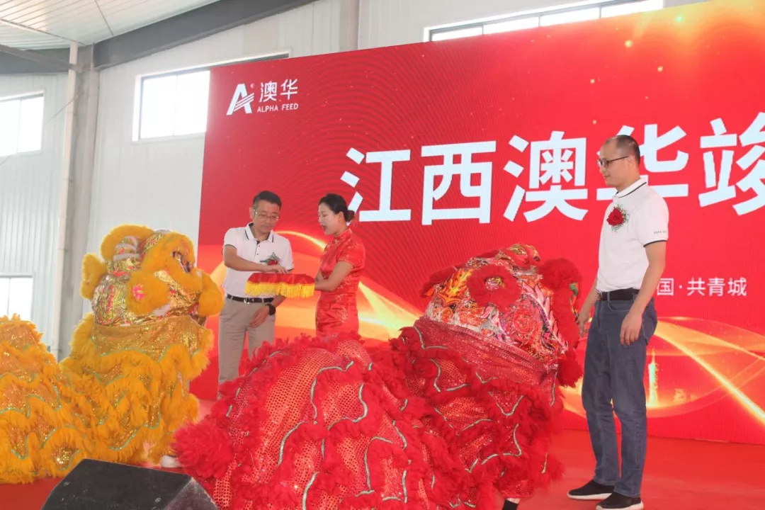 华中水产新消息,澳华华中水产料