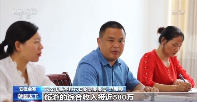 走向我们的小康生活丨安徽金寨：大湾村的美丽蝶变