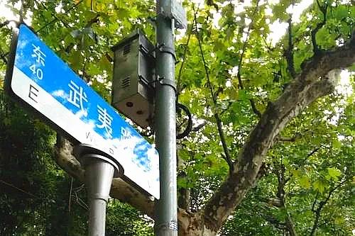 静雅的生活日记,静雅生活日记