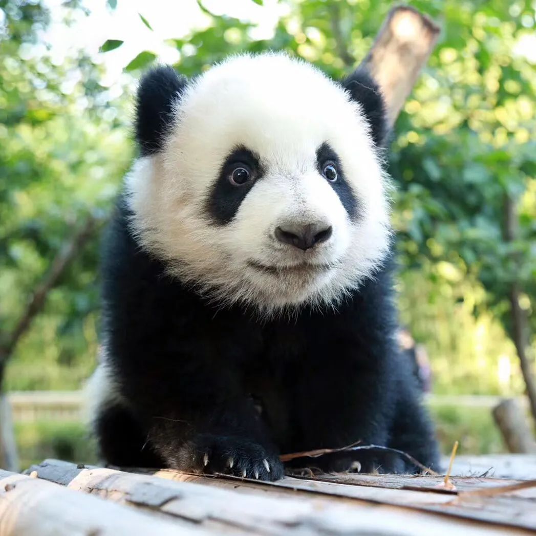 黑眼圈严重者早睡早起最好防范,黑眼圈是身体非常严重的警告