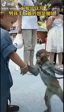 被铁链绑住，注射避孕药，连续伺候几百人后，她挣扎着死去……