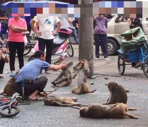 被铁链绑住，注射避孕药，连续伺候几百人后，她挣扎着死去……