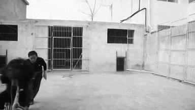 被铁链绑住，注射避孕药，连续伺候几百人后，她挣扎着死去……