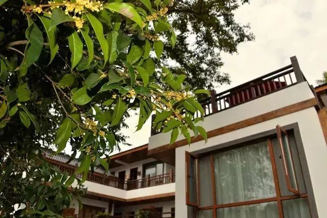 南京江宁赏秋,秋分时间景色图