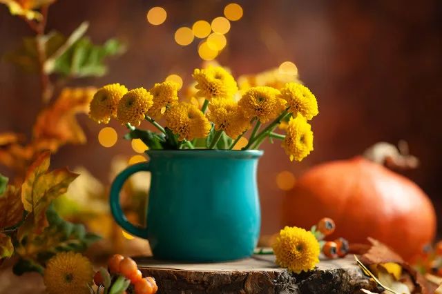 含氟牙膏推荐美白,成人脱敏含氟牙膏推荐