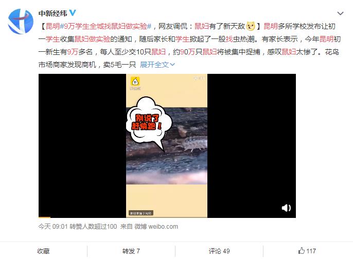 十只鼠妇的实验,昆明9万学生全城找鼠妇做实验
