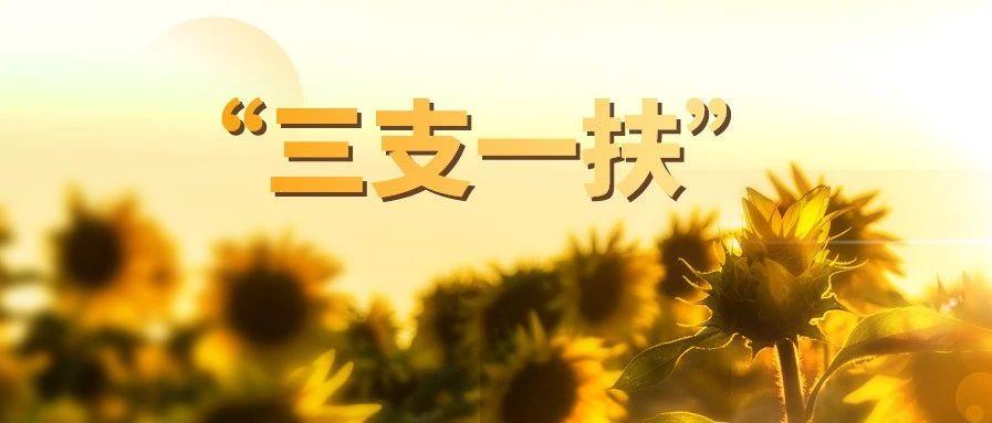 江西三支一扶两年后转编制的待遇,江西2022年三支一扶难度大吗