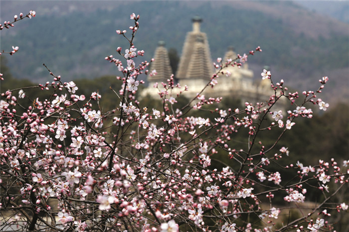 雨听南山,雨听山