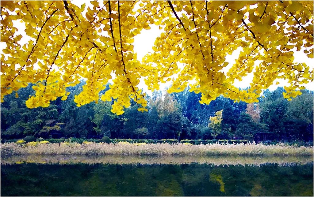 一场秋雨一场寒从秋分开始吗,二十四节气秋分一场秋雨一场寒