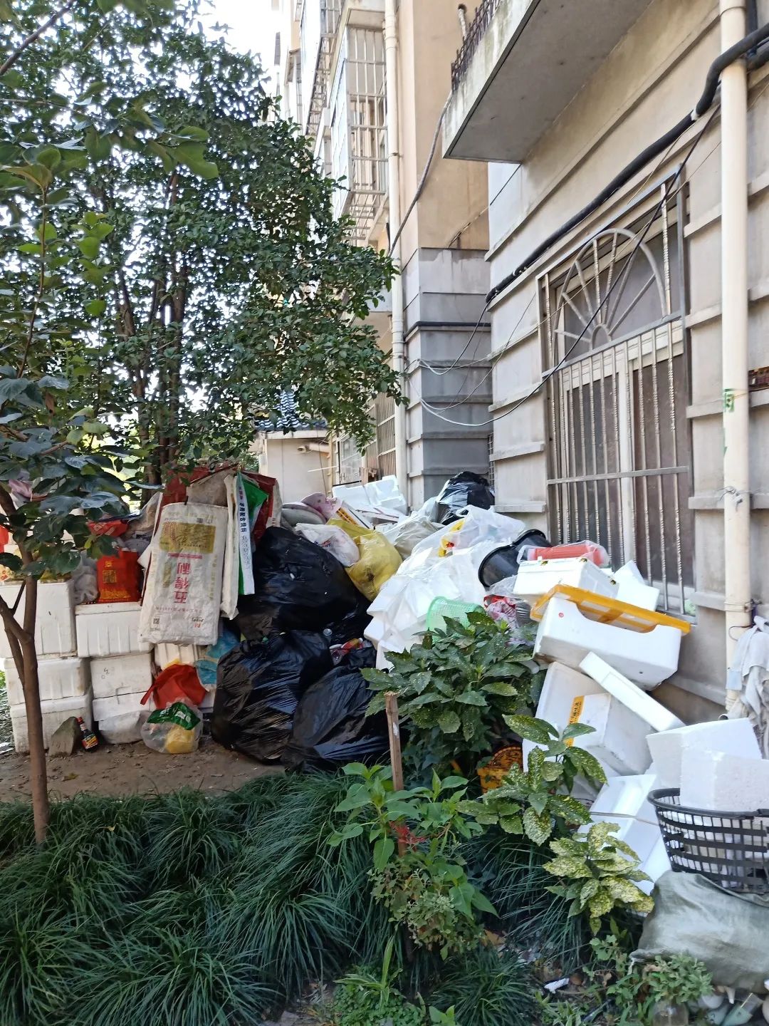 别侥幸瑞安加大力度严查酒驾醉驾,别侥幸湖州加强交通秩序管理