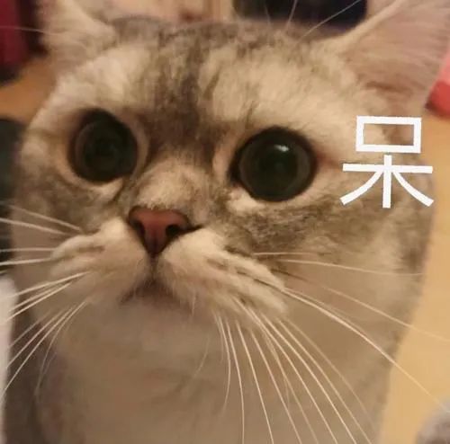 劣质美瞳伤眼怎么协商 (美瞳真的很伤眼吗)