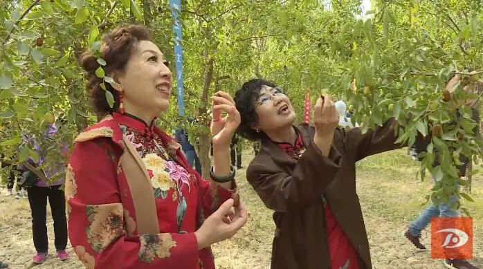 敦煌市农民丰收节,庆祝中国农民丰收节活动形式