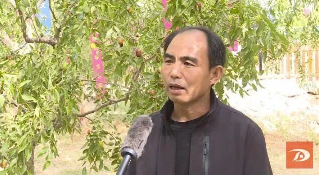 敦煌市农民丰收节,庆祝中国农民丰收节活动形式