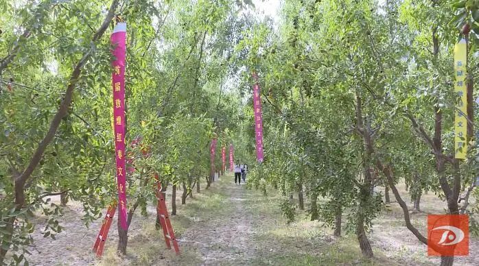 敦煌市农民丰收节,庆祝中国农民丰收节活动形式