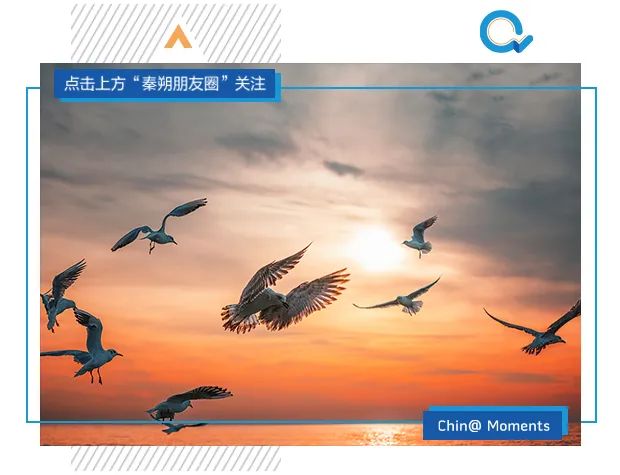 企业是什么？华住用15年证明，企业可以成为*善美真**的社会化表达