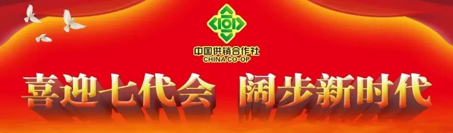 辉隆股份龙头企业,辉隆股份目标分析