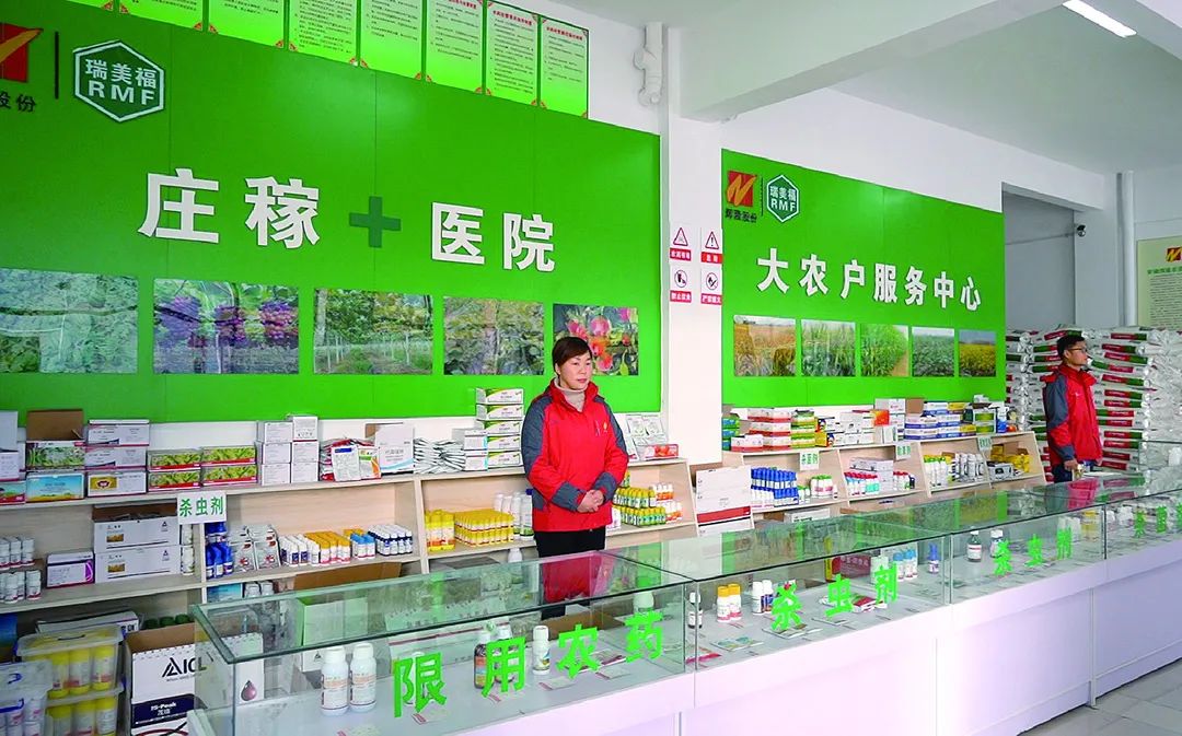 辉隆股份龙头企业,辉隆股份目标分析