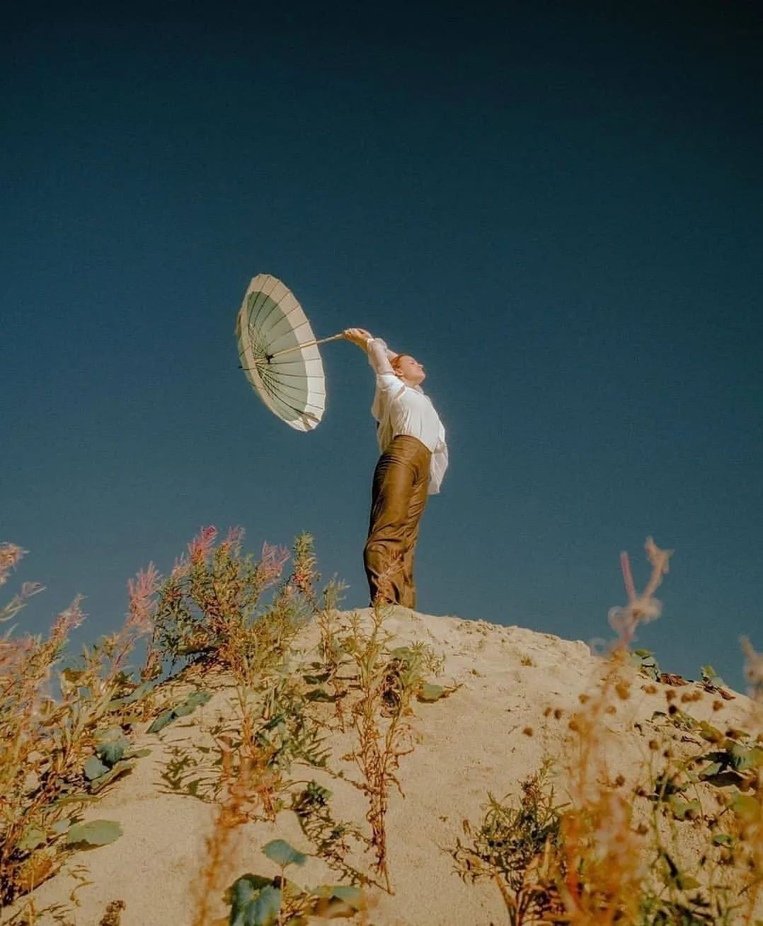 膨友你好|不能没有的电影