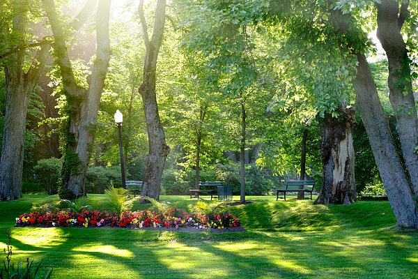 自然资源部违法案件查处工作,自然资源部67个违法违规典型