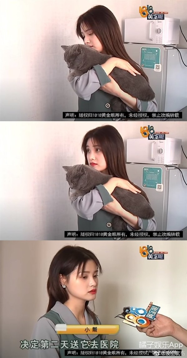 《1818黄金眼》素人造星厂吧！帅哥含量高，靓过小张的太多了