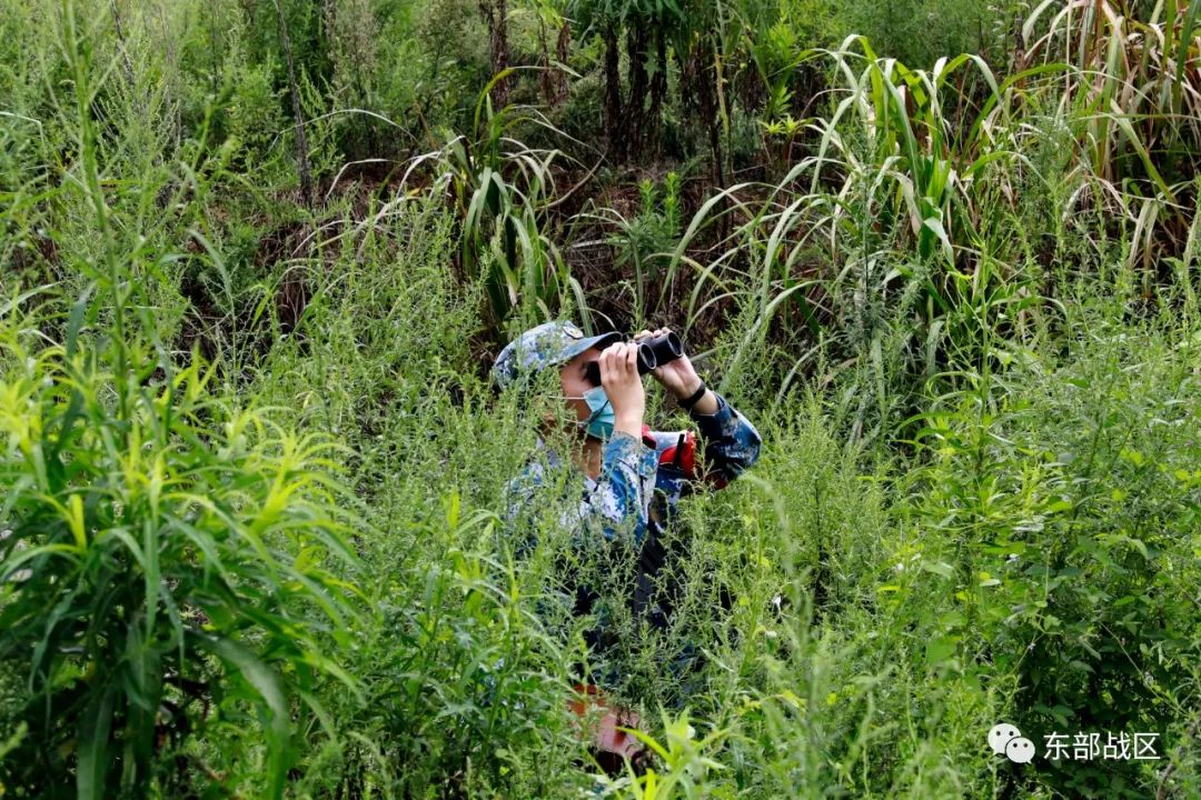 热点|岸导团联手防化营,出击
