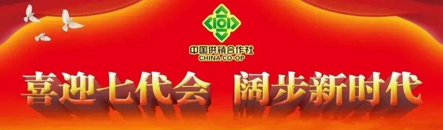 改革榜样|倍丰集团：从黑土地走向大江南北