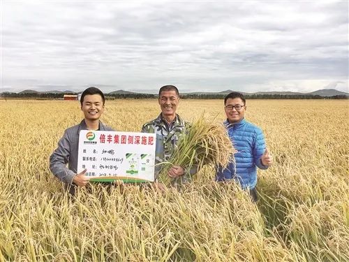 改革榜样|倍丰集团：从黑土地走向大江南北