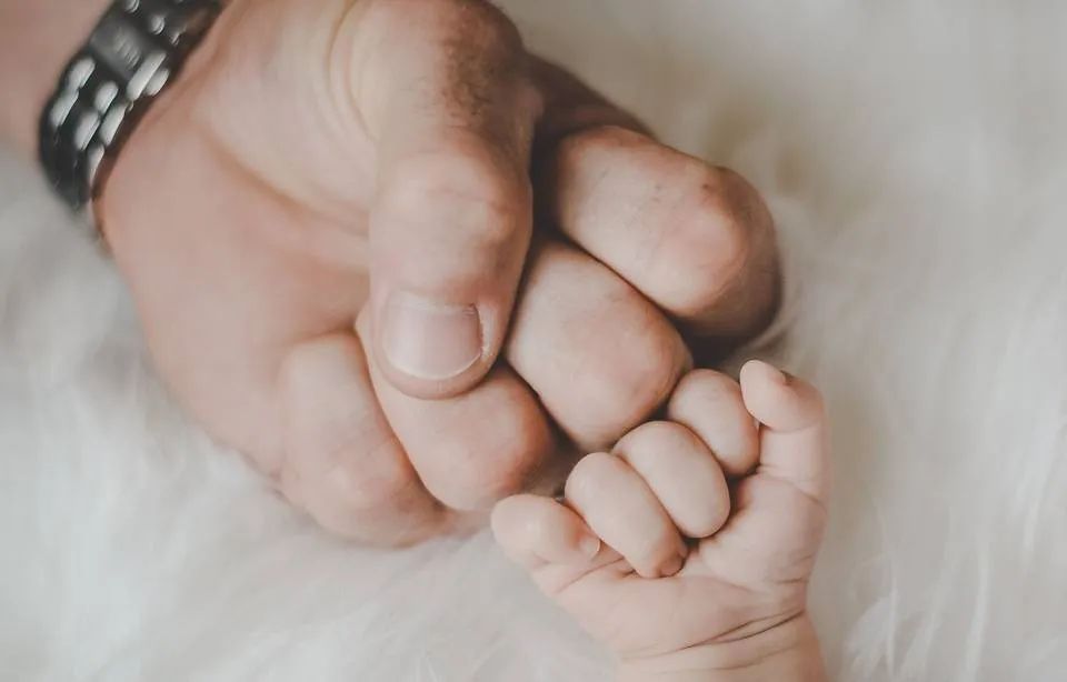 巴黎禁酒令最新消息 (巴黎宣布禁止入境吗)