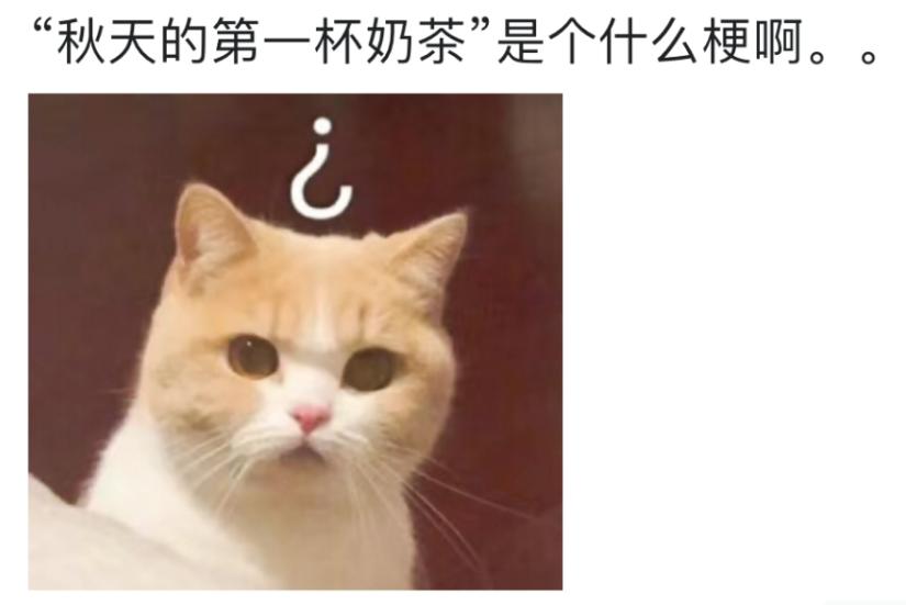 为什么秋天奶茶能刷屏,秋天的第一杯奶茶搞笑梗
