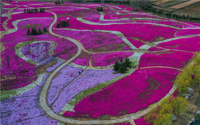 补齐三农短板奔小康,文登乡村振兴